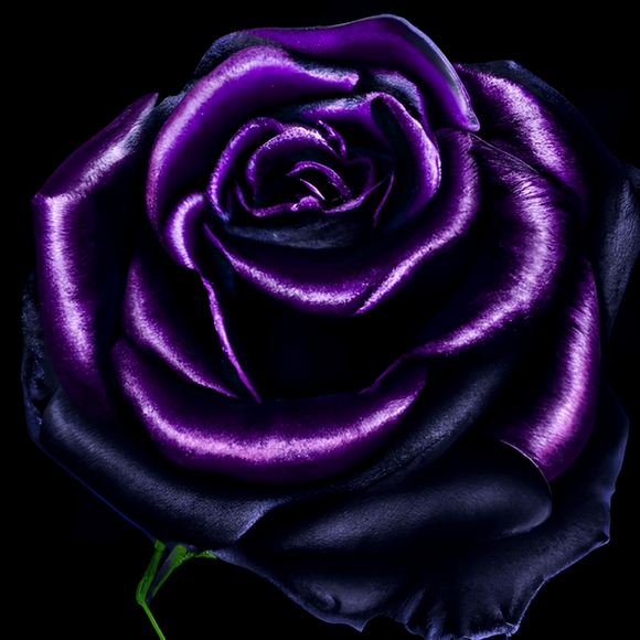 Little Bit Of Everything - Picture 1 of 1